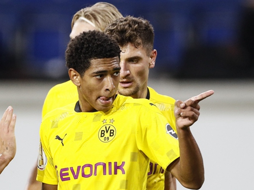 动在当地的 动在当地的